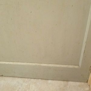 Meet your Posher, Gavin